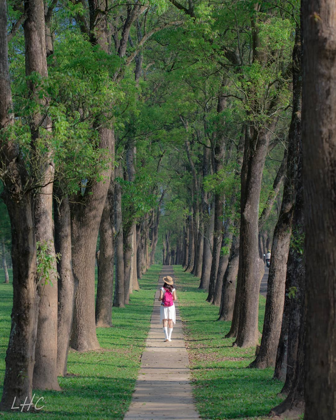 日月潭景點 Ig網美最愛日月潭一日遊10大秘境 日月潭商圈旅遊網