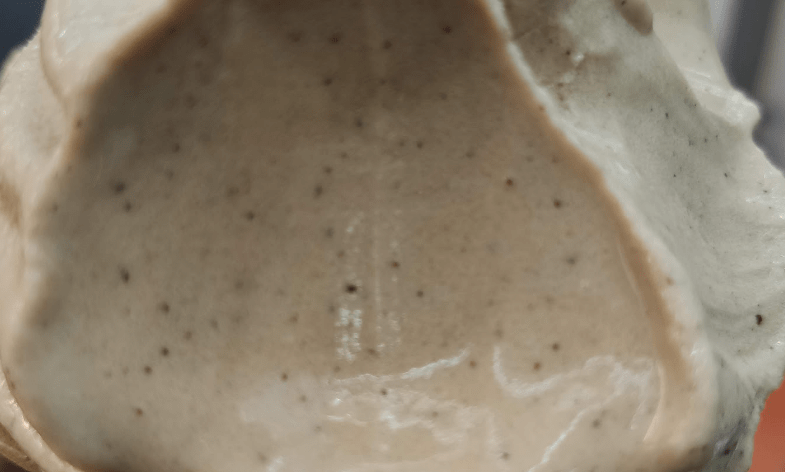 日月潭紅茶店-翻茶-霜淇淋中的紅茶原葉顆粒