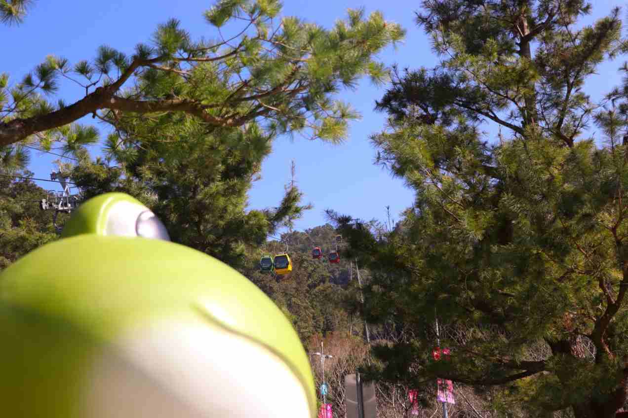 日月潭纜車 日月潭纜車