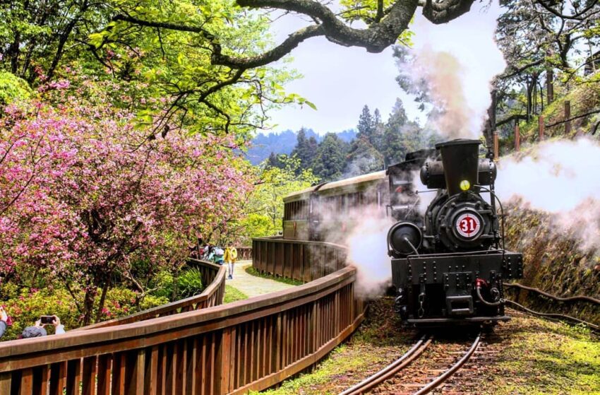 阿里山森林遊樂區-沼平車站 阿里山森林遊樂區-沼平車站,阿里山森林遊樂區怎麼玩,阿里山遊客中心, 阿里山小火車票價2023, 阿里山遊樂區, 阿里山遊園車, 阿里山森林遊樂區門票, 阿里山交通, 阿里山門票免費2023, 嘉義火車站到阿里山多久, 阿里山小火車怎麼玩, 阿里山森林遊樂區門票費用, 阿里山門票2023, 阿里山步道, 阿里山電動遊園車, 阿里山門票, 阿里山國家森林遊樂區門票, 阿里山國家公園門票, 阿里山門票優惠, 國家森林遊樂區免費入園2023, 阿里山交通, 阿里山門票100元, 阿里山小火車票價, 阿里山国家风景区票券資訊, 阿里山門票費用, 阿里山國家森林遊樂區門票, 阿里山森林遊樂區介紹, 阿里山森林遊樂區地圖, 森林遊樂園, 香林神木, 阿里山在哪裡, 阿里山介紹, 阿里山停車場, 阿里山遊園車時刻表, 阿里山國家森林遊樂區住宿, 阿里山賓館住宿費用, 沼平車站, 沼平公園, 阿里山地圖, 阿里山國家森林遊樂區評論, 阿里山森林遊樂區門票, 阿里山國家森林遊樂區alishannationalforestrecreationarea相片, 阿里山門票價格, 阿里山森林遊樂區門票免費, 阿里山遊樂區門票, 阿里山門票資訊, 阿里山森林遊樂區小火車, 阿里山森林遊樂區售票時間, 阿里山現在幾度, 阿里山園區地圖, 阿里山步道地圖, 阿里山森林遊樂區住宿, 阿里山路線, 姊妹潭, 墾丁國家森林遊樂區相片, 姐妹潭, 台灣好型阿里山, 阿里山園區, 阿里山國家森林遊樂區相片, 阿里山門票多少錢, 阿里山神木步道, 阿里山國家風景區票券資訊, 阿里山森林, 阿里山入園門票, 阿里山在哪, 阿里山入園時間, 如何去阿里山, 迷糊步道來回多久, 森林旅遊, 阿里山賓館套裝行程, 阿里山商店街必吃, 果然茶香觀光園區|嘉義觀光推薦|親子景點|親子diy|手作體驗|嘉義觀光園區|阿里山評論, 阿里山遊園車, 神木車站, 阿里山古道, 太平山門票多少錢, 阿里山站, 阿里山車票, 火車套票, 阿里山國家森林遊樂區alishannationalforestrecreationarea門票, 阿里山住宿要門票嗎, 阿里山爬山, 阿里山套票, 阿里山停車, 嘉義幾度, 坐火車到阿里山, 香林, 阿里山國家森林遊樂區alishannationalforestrecreationarea評論, 阿里山森林遊樂區一日遊, 巨木群棧道, 阿里山門票優惠2023, 阿里山電子門票, 森林好好玩購票網站, 森林園區, 阿里山接駁車地點, 阿里山神木步道時間, 阿里山國家風景區, 8xu3g0, 阿里山電動遊園車時刻表, 嘉義森林步道, 阿里山遊客中心停車場, 嘉義慈雲寺, 神木群, 阿里山遊樂園區, 阿里山國家森林遊樂區alishannationalforestrecreationarea, 阿里山票價, 阿里山森林遊樂區門票優惠, 阿里山国家森林游乐区, 阿里山門票免費, 森林遊樂區推薦, 阿里山国家风景区, 阿里山停車費, 嘉義火車站到阿里山票價, kkday阿里山門票, 阿里山停車, 阿里山遊記, 啊里山賓館, 森林樂園, 森林國家公園, 新楓之谷阿里山攻略, 阿里山電動遊園車費用, 阿里山步道規劃, 阿里山景點步道, 不要走森林裡的樓梯, 台灣阿里山, 奮起湖到阿里山森林遊樂區, 阿里山神木車站, 阿里山遊園車路線, 阿里山步道路線, 阿里山國家森林遊樂區住宿, 阿里山門票klook, 香林露營區, 南投阿里山, 加橋森林, 楓之谷阿里山怎麼去, 阿里山遊園路線, 阿里山森林公園, 阿里山神木群, 阿里山巨木群棧道, 阿里山園區門票, 住阿里山賓館要買門票嗎, 櫻宮姐妹, 阿里山親子行程, 阿里山神木線, 阿里山一日遊套裝行程, 阿里山巨木, 阿里山森林遊樂區停車場, 阿里山下雪2023, 阿里山遊園車一日券, 如何到阿里山, klook阿里山門票, 阿里山介紹, 水山巨木步道門票, 阿里山現在溫度幾度, 阿里山路線, 山裡日紅, 阿里山適合幾月去, 阿里山遊客中心住宿, 艾靈森林怎麼去, 楓之谷阿里山小火車, 阿里山位置, 阿里山爬山, 阿里山車站怎麼去, 嘉義搭火車到阿里山, 森林遊樂區門票, 阿里山小火車票價, 到阿里山, 森林區, 水山巨木怎麼去, 阿里山慈雲寺, 阿里山風景區, 楓之谷阿里山攻略, 阿里山神木步道, 新楓之谷阿里山攻略, 楓之谷阿里山火車, 阿里山國家公園地圖, 阿里山門票24小時, 阿里山營業時間, 阿里山森林遊樂區遊園車, 爬阿里山, 阿里山神木, 沼平線, 阿里山幾度, 阿里山遊樂區地圖, 阿里山爬山行程, 阿里山怎麼走, 阿里山一日遊價格, 阿里山電動遊園車路線, 阿里山電動遊園車一日券, 阿里山門票klook, 國家森林遊樂區有幾個, 塔南森林怎麼去, 台灣森林景點, 去阿里山, 阿里山購票, 阿里山旅客服務中心停車場, 慈雲寺阿里山, 沼平車站開車, 阿里山如何去, 阿里山古道, 遊樂區優惠, 阿里山車站, 火車到阿里山, 分多精, 阿里山森林遊樂園區, 阿里山森林遊樂園, 神木步道, 阿里山免門票, 啊里山, 國家公園免費入園, 阿里山國家森林遊樂區, 阿里山國家, 森林風景, 森林景點, 阿里山住宿門票, 森林風景, 阿里山, 台東森林公園門票多少錢, 台灣好行阿里山門票, 阿里山森林遊樂區, 阿里山門票, 阿里山交通, 阿里山開車怎麼玩2023,