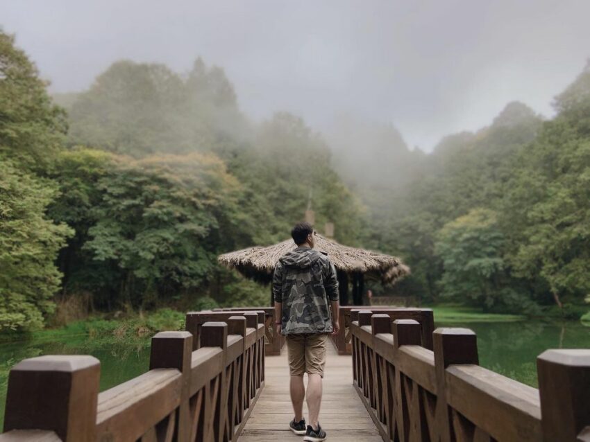 大家知道嗎？阿里山其實不是一座山，而是泛指玉山山脈支脈的一整個山區喔！其中涵蓋氣候廣泛，一年四季景色萬變，自然生態豐富，必訪的日出、雲海、晚霞、森林鐵路、巨木的「五奇」，以及塔山奇岩、28號巨木、小笠原山、水山巨木、香林拱橋、慈雲觀景、神怡流瀑、阿里山神木遺跡等的「八景」，還有這個時節的「阿里山櫻花季」等更是令人流連忘返。阿里山景點推薦,阿里山國家森林遊樂區 (姊妹潭、水山巨木)