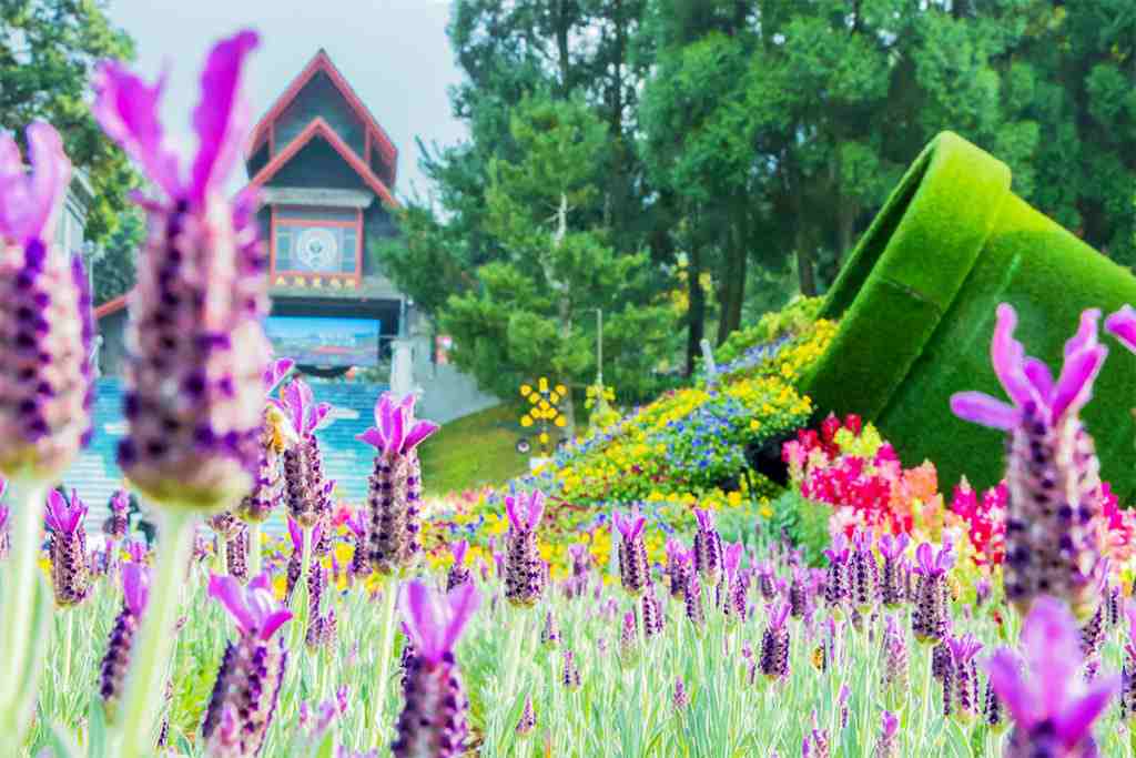 兒童節活動優惠｜清明連假親子旅遊景點、遊樂園、博物館優惠 56 2024