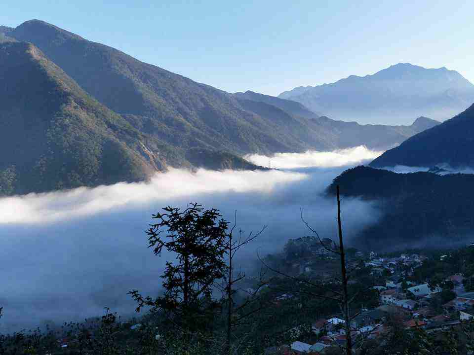 阿里山賞螢 | 賞螢活動攻略，5大賞螢區域報你知!(內含免費賞螢、活動場次、報名訊息)