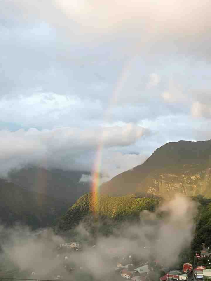 阿里山賞螢 | 賞螢活動攻略，5大賞螢區域報你知!(內含免費賞螢、活動場次、報名訊息)
