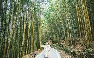 跟著本篇來一趟瑞里景點吧，瑞里社區周邊有太多好玩的景點，逛完景點之後回到瑞里社區，又不用擔心吃飯及住宿的問題，是個適合遠離世俗煩惱，投入大自然的懷抱之地！讓我們來看看究竟是哪些景點有這麼大的魔力吧～台灣好行瑞里線必去景點大公開！
