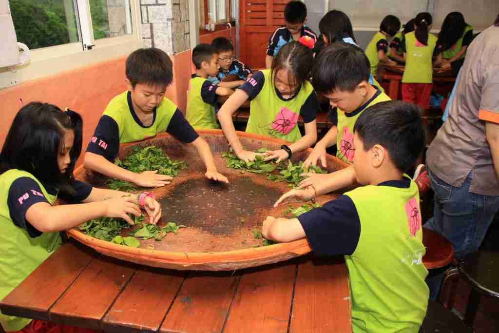 南投觀光工廠 和菓森林紅茶莊園