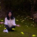 - 阿里山賞螢 阿里山賞螢 | 賞螢活動攻略,5大賞螢區域報你知!(內含免費賞螢、活動場次、報名訊息) 2021 ▸嘉義景點, ▸旅遊情報, 住宿, 景點, 活動, 阿里山 圓潭生態園區, 土匪生態園區, 阿里山賞螢 2021