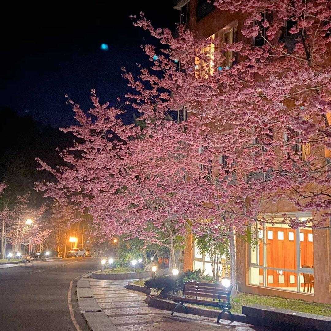 杉林溪森林生態渡假園區 杉林溪森林生態渡假園區｜來杉林溪一日遊，享受芬多精的洗禮，杉林溪賞螢賞花攻略 6 2023