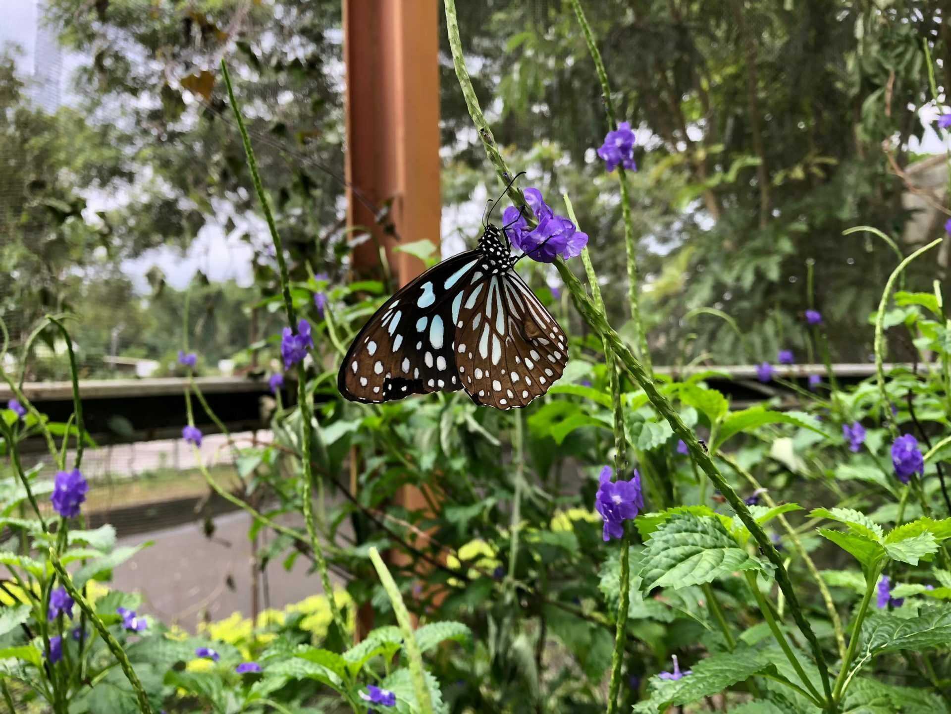 高雄一日遊景點推薦 | 科工館周邊景點、美食推薦，搭高雄捷運一日遊