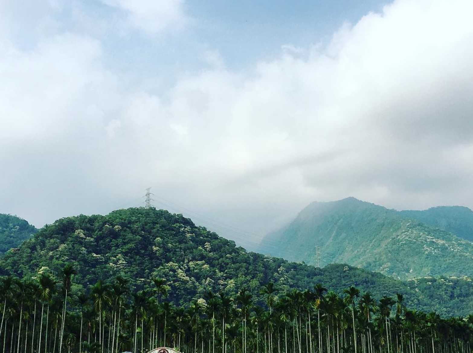 ▸旅遊情報, ▸南投景點 埔里, 打卡, 景點, 水里, 油桐花, 活動, 花季 2021