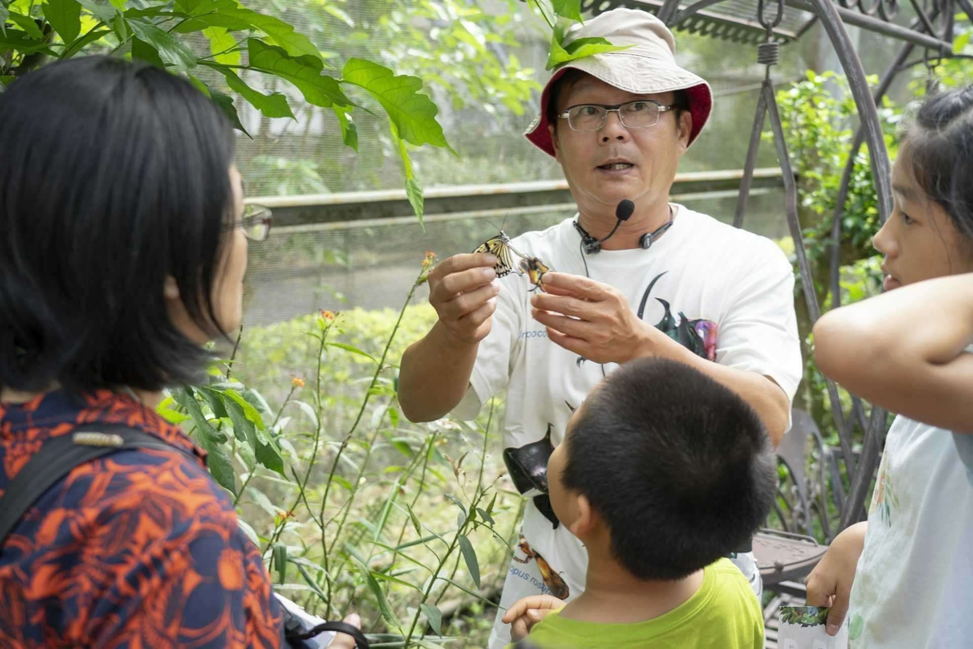 埔里蝴蝶 埔里蝴蝶 | 精選3處埔里賞蝶景點，跟著自然界的精靈去埔里旅遊 6 2024