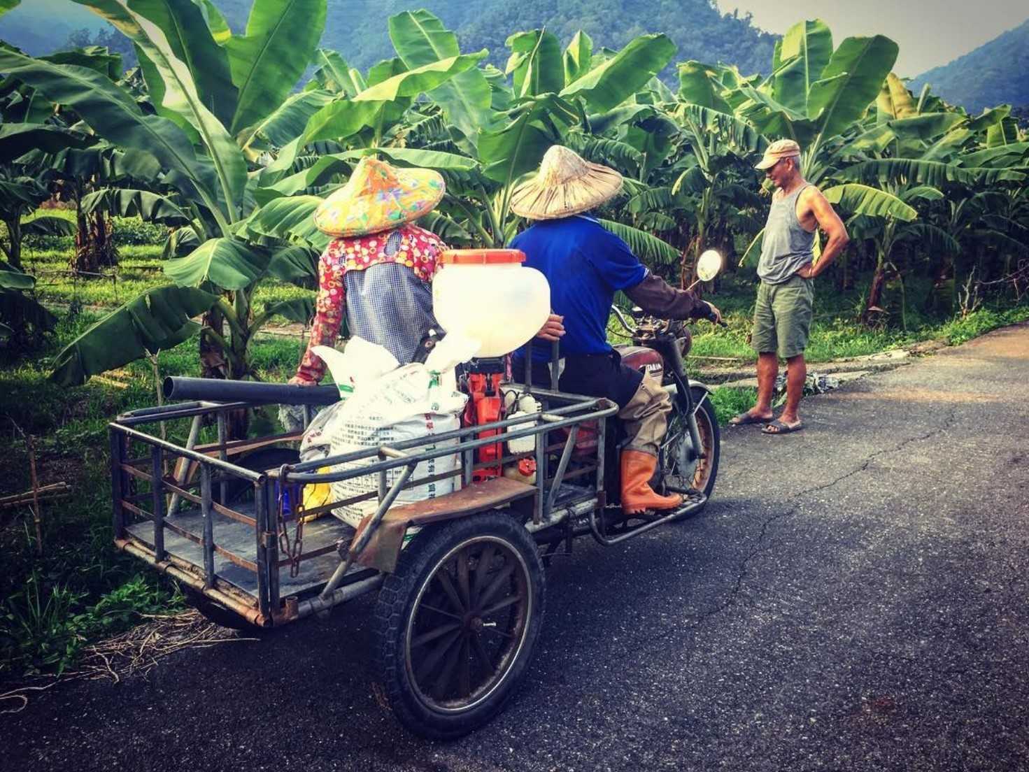 ▸旅遊情報, ▸南投景點 埔里, 打卡, 景點, 水里, 油桐花, 活動, 花季 2021