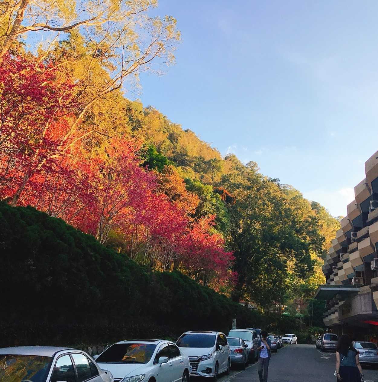 日月潭青年活動中心 日月潭青年活動中心｜坐擁湖光山色，高CP值日月潭住宿、交通怎麼去、周邊景點 2 2025