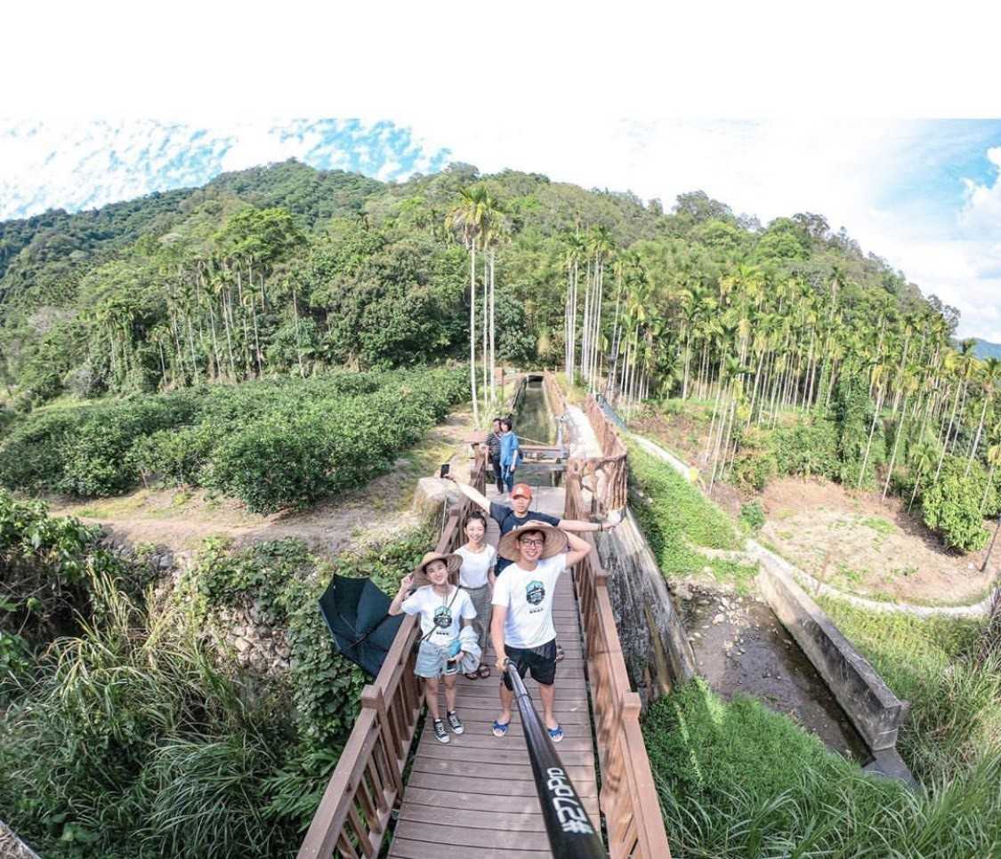 ▸旅遊情報, ▸南投景點 埔里, 打卡, 景點, 水里, 油桐花, 活動, 花季 2021