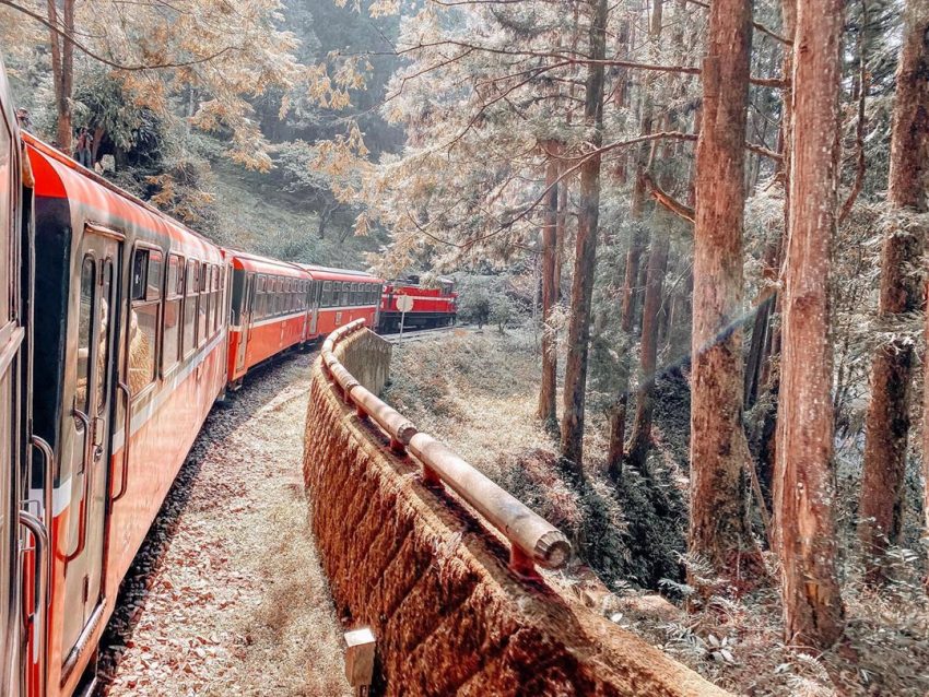 阿里山森林遊樂區－阿里山小火車