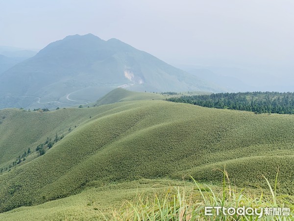 台北景點推薦台北版抹茶山，療癒草坡萌翻天登山好手限定！ 1 2024