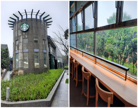 窗外有長臂猿出沒！星巴克新竹動物園門市5/24開幕　圓柱建築超吸睛 1 2024