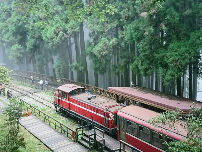 阿里山,阿里山,阿里山車票,阿里山小火車,阿里山小火車路線圖,阿里山日出火車,阿里山火車訂票,阿里山小火車一日遊,阿里山小火車怎麼玩,阿里山火車,阿里山小火車時刻表,阿里山小火車訂票,阿里山火車時刻表,阿里山森林鐵路,阿里山鐵路,阿里山火車站,阿里山林業鐵路,福森號,阿里山小火車票價2023,阿里山小火車網路訂票系統,阿里山小火車票價,阿里山小火車怎麼搭,阿里山看日出火車,阿里山森林鐵路訂票,阿里山小火車全線通車,阿里山小火車日出,阿里山小火車祝山線,阿里山火車時刻,阿里山日出火車時間,小火車時刻表,阿里山森林火車時刻表,阿里山檜木火車時間表,阿里山小火車時間,阿里山鐵路路線,檜木小火車,阿里山鐵路全線通車,阿里山祝山線時刻表,阿里山小火車住宿,阿里山小火車站,阿里山檜木小火車,阿里山小火車看日出,阿里山小火車路線圖2022,阿里山鐵路時刻表,阿里山小火車路線,阿里山小火車購票方式,阿里山火車票,阿里山鐵路路線圖,阿里山小火車復駛了嗎,阿里山火車路線圖,阿里山蒸汽火車,福森號試車,福森號路線,福森號訂票,福森號票價,福森號時刻表,阿里山森林小火車,阿里山小火車坐多久,小火車阿里山,森林鐵路,阿里山森林鐵路時刻表,阿里山火車票價,阿里山日出時間火車,阿里山森林火車,阿里山小火车,阿里山森林鐵路路線圖,阿里山日出火車買票,阿里山鐵路訂票,阿里山日出小火車,森林小火車,阿里山小火車時刻表2021,阿里山小火車攻略,阿里山小火車介紹,阿里山小火車看日出時刻表,阿里山火車路線,阿里山小火車訂不到票,阿里山小火車訂票攻略,阿里山檜木火車,阿里山日出火車票,森林鐵路訂票,阿里山小火車時刻表2023,阿里山小火車時刻表2023,阿里山小火車－神木站