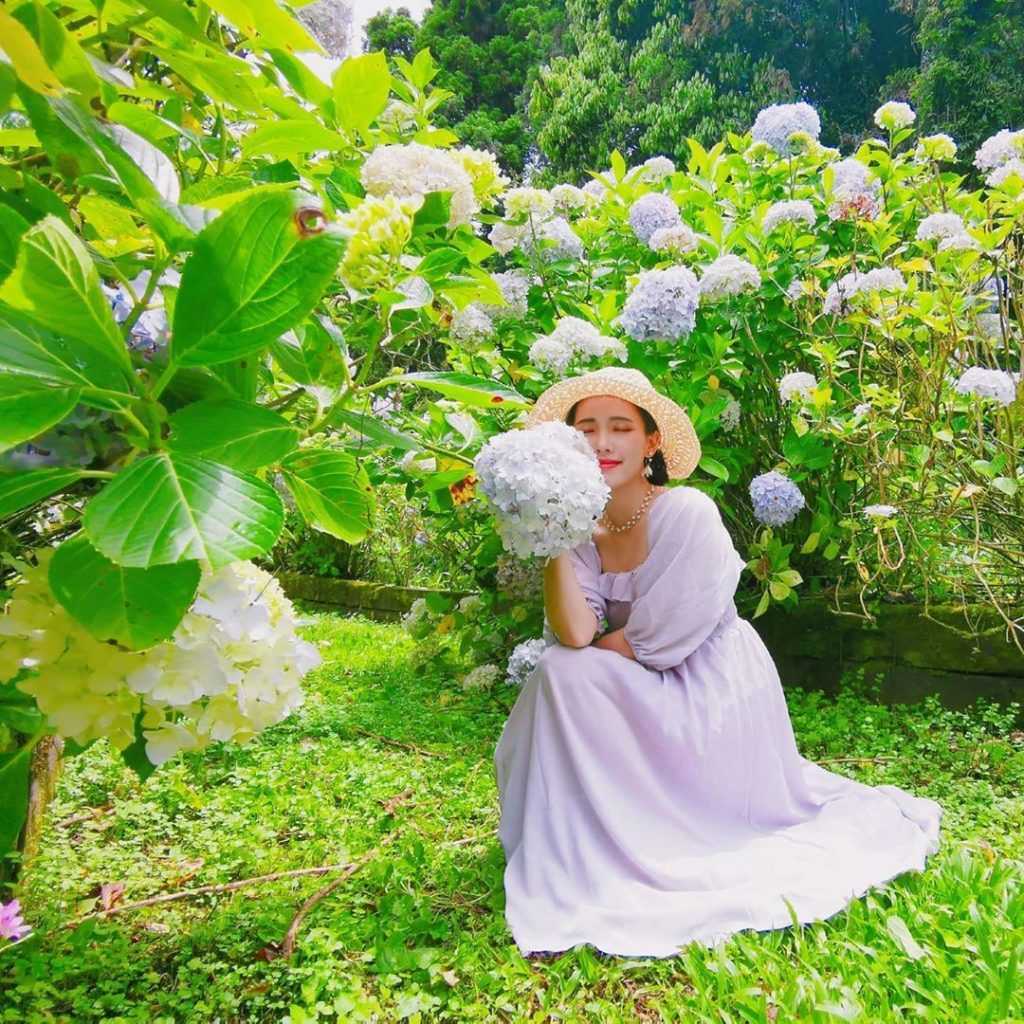 - 杉林溪繡球花季 2022杉林溪繡球花季|如夢似幻的繡球花開了《花季時間、交通路線、門票價格》 2022 ▸旅遊情報, ▸南投景點, 竹山鎮 南投景點, 推薦, 景點, 杉林溪, 杉林溪, 杉林溪繡球花, 活動, 繡球花季, 花季 2022