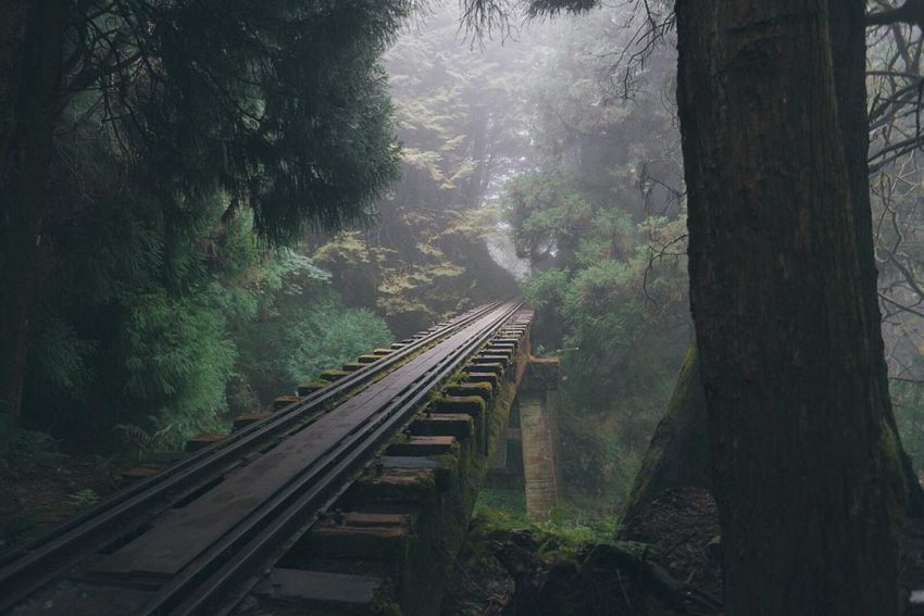 阿里山眠月線|一篇搞懂登山路線/必拍景點/如何申請/注意事項,走入歷史的迷蹤 消失的鐵道秘境 3 阿里山眠月線@tiny.lilithy 阿里山眠月線 阿里山眠月線|一篇搞懂登山路線/必拍景點/如何申請/注意事項,走入歷史的迷蹤 消失的鐵道秘境 2021