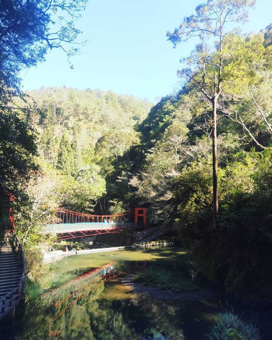 杉林溪森林生態渡假園區 ｜九九吊橋 杉林溪