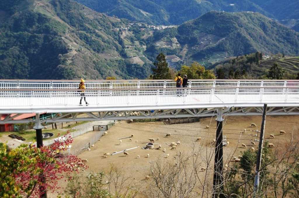 清境天空步道 俯瞰清境農場 清境景觀步道 清境高空步道