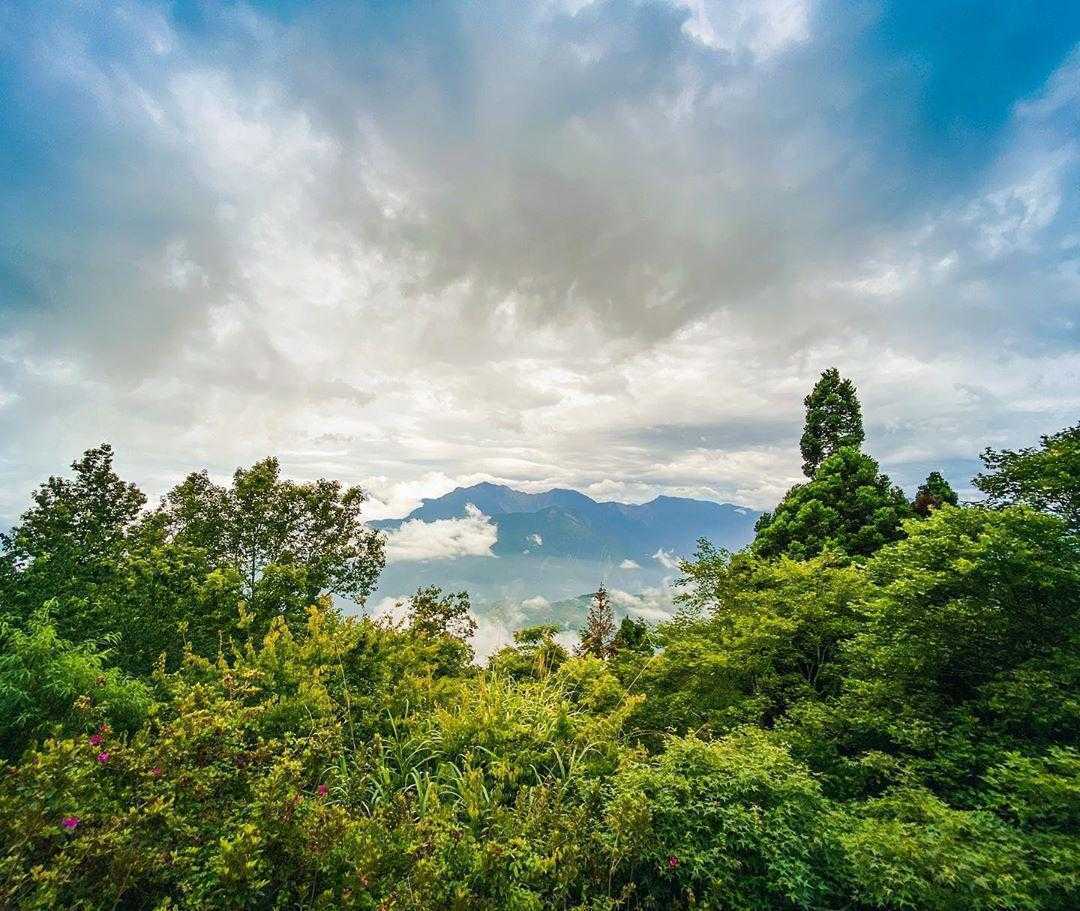 溪頭自然教育園區 溪頭自然教育園區｜擁抱大自然一日遊《必訪景點、優惠套票、交通》攻略｜溪頭森林遊樂區 2 2023