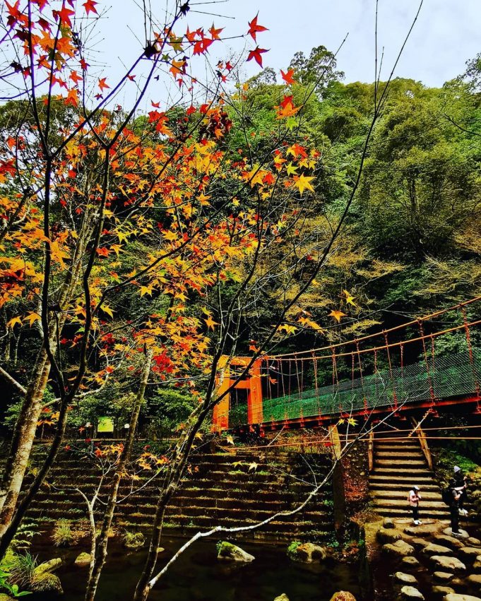 杉林溪一日遊必拍景點、門票優惠、賞螢花季、交通攻略｜杉林溪森林生態渡假園區 18 2024