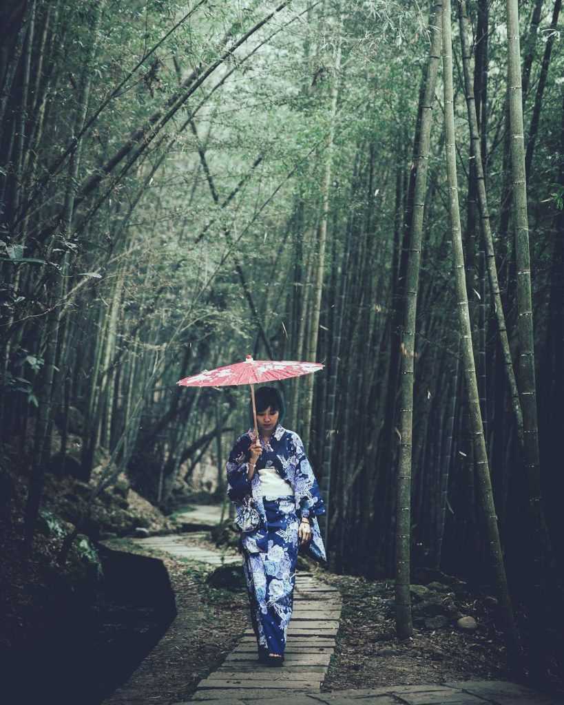 南投景點推薦 ：長源圳古道 鹿谷鄉 鹿谷景點 鹿谷一日遊 鹿谷踏青