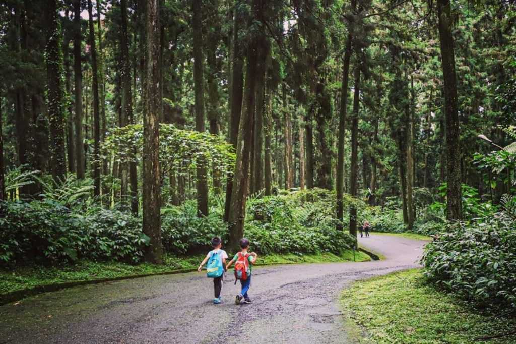 溪頭自然教育園區