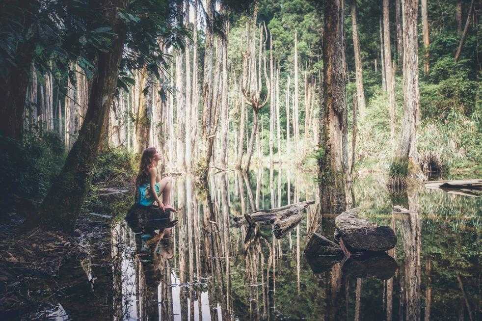 溪頭杉林溪景點 溪頭杉林溪景點 ｜炎炎夏天到山上消暑，5 個南投戶外景點推薦 2 2024