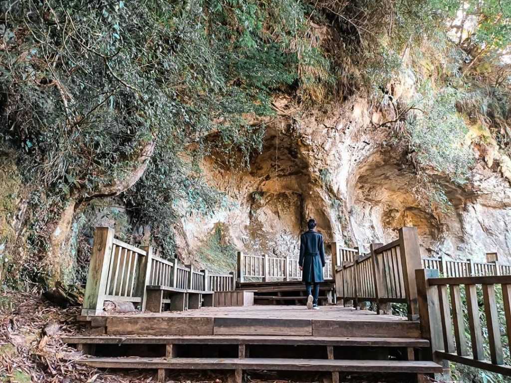 溪頭杉林溪景點 溪頭杉林溪景點 ｜炎炎夏天到山上消暑，5 個南投戶外景點推薦 3 2024