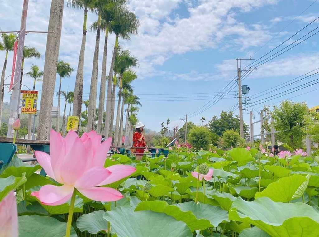 2021 南投景點 最新13個南投必去的景點 私房秘境一日遊攻略 瀑布 吊橋景點推薦 好好玩台灣
