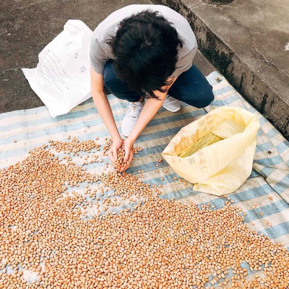 中興新村懶人包｜好事花生糖