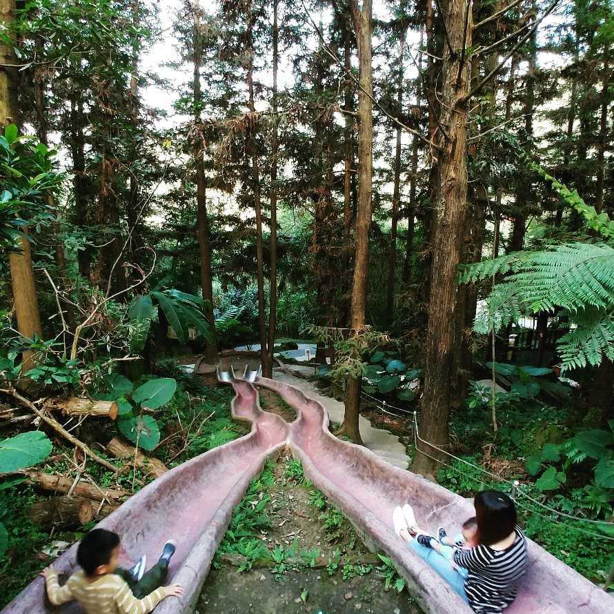 鳳凰谷鳥園生態園區 森林溜滑梯