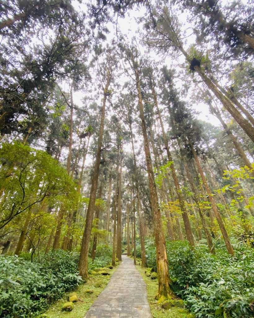 【雙十連假旅遊攻略】10月連假怎麼請?國慶連假想去哪玩?全台超夯旅遊行程一次幫你敲定 【雙十連假旅遊攻略】10月連假怎麼請?國慶連假想去哪玩?全台超夯旅遊行程一次幫你敲定