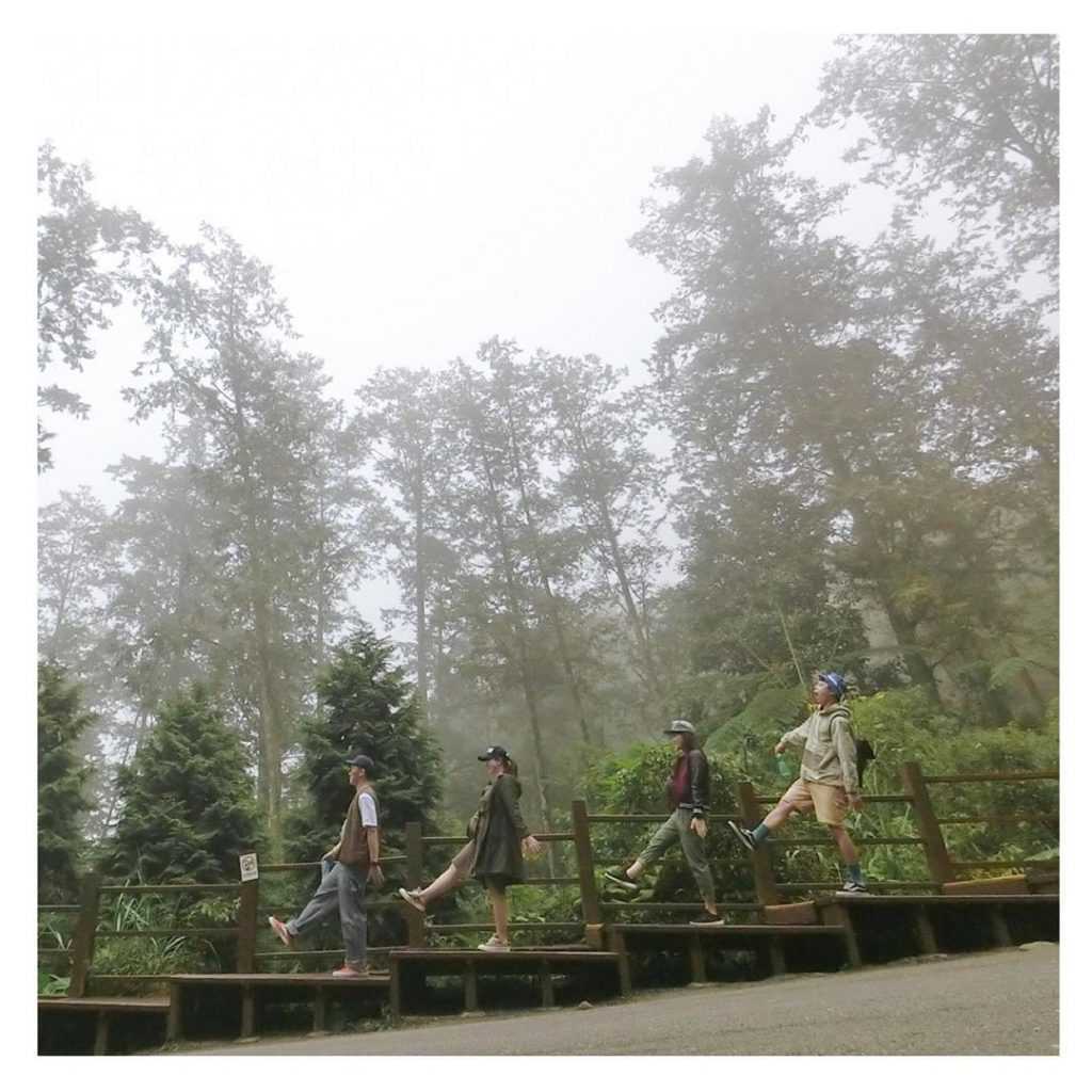 【溪頭自然教育園區】精選必訪溪頭景點、門票優惠、交通方式,溪頭森林遊樂區一日遊 【溪頭自然教育園區】精選必訪溪頭景點、門票優惠、交通方式,溪頭森林遊樂區一日遊