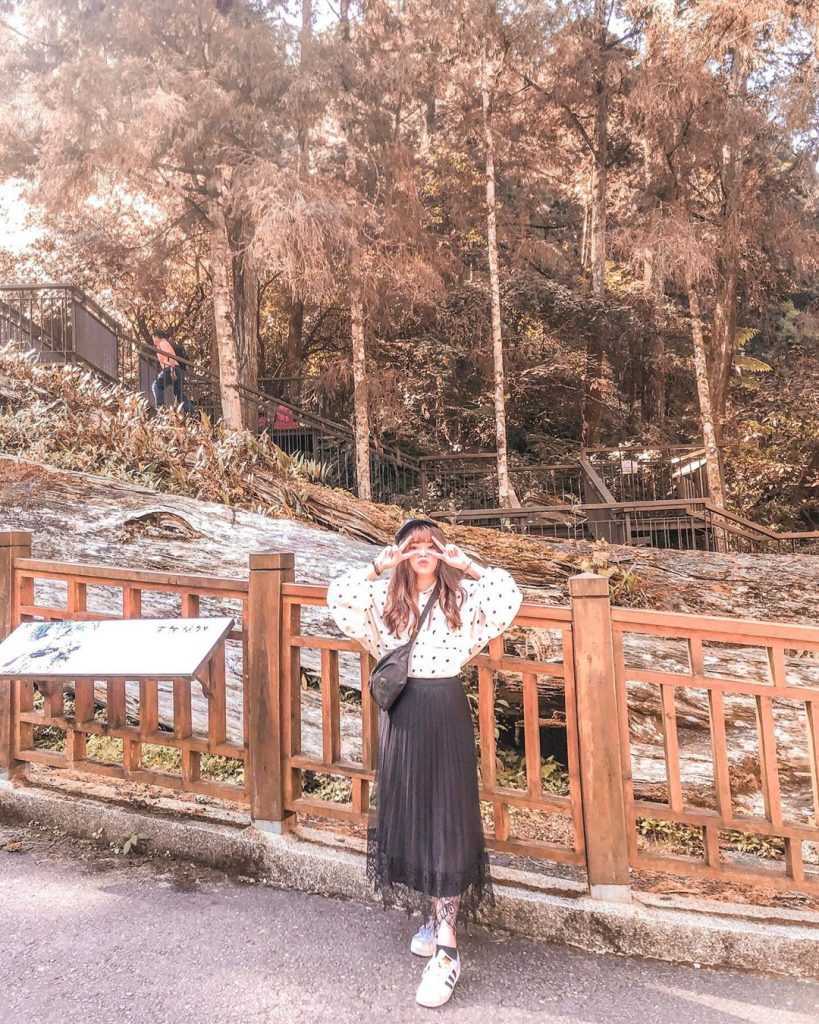 【溪頭自然教育園區】精選必訪溪頭景點、門票優惠、交通方式,溪頭森林遊樂區一日遊 【溪頭自然教育園區】精選必訪溪頭景點、門票優惠、交通方式,溪頭森林遊樂區一日遊