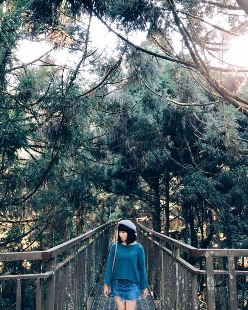 【溪頭自然教育園區】精選必訪溪頭景點、門票優惠、交通方式,溪頭森林遊樂區一日遊 【溪頭自然教育園區】精選必訪溪頭景點、門票優惠、交通方式,溪頭森林遊樂區一日遊