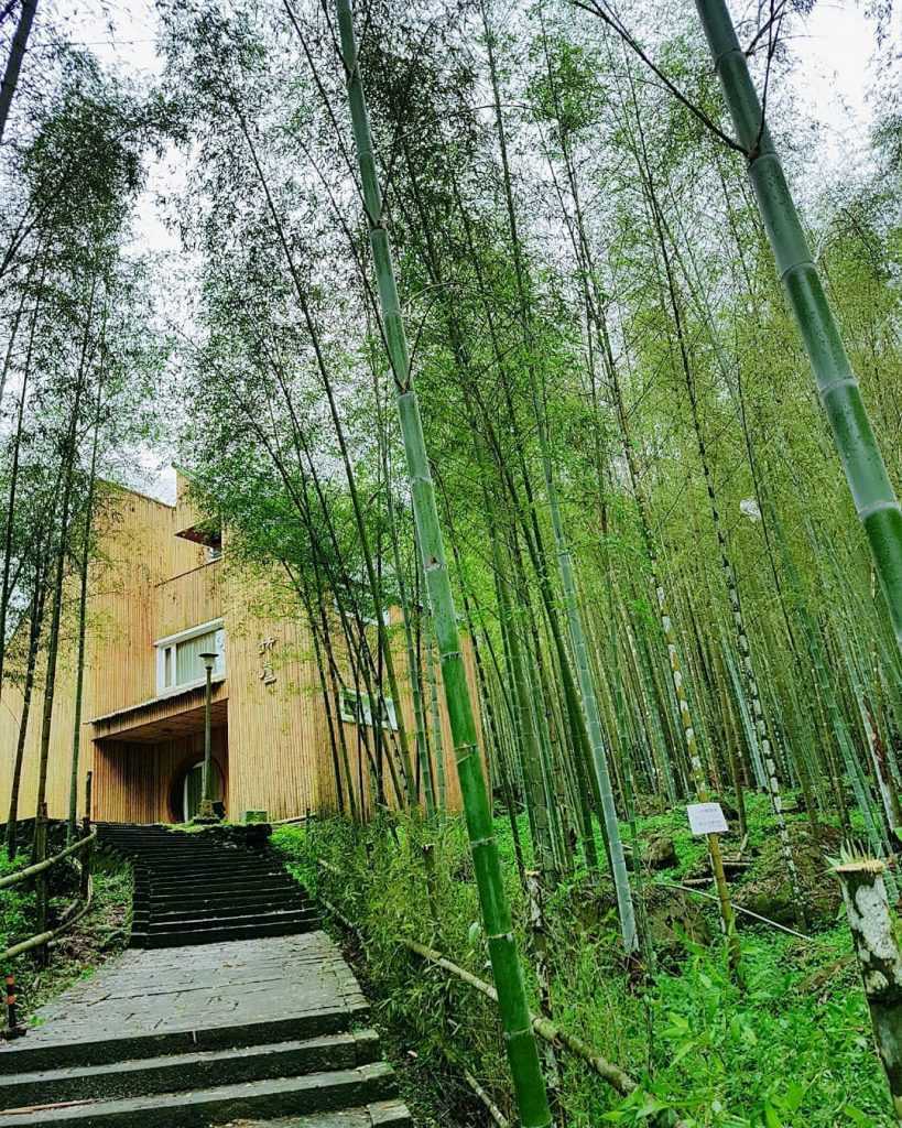 【溪頭自然教育園區】精選必訪溪頭景點、門票優惠、交通方式,溪頭森林遊樂區一日遊 【溪頭自然教育園區】精選必訪溪頭景點、門票優惠、交通方式,溪頭森林遊樂區一日遊