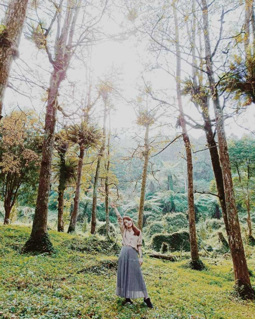 【溪頭自然教育園區】精選必訪溪頭景點、門票優惠、交通方式,溪頭森林遊樂區一日遊 【溪頭自然教育園區】精選必訪溪頭景點、門票優惠、交通方式,溪頭森林遊樂區一日遊