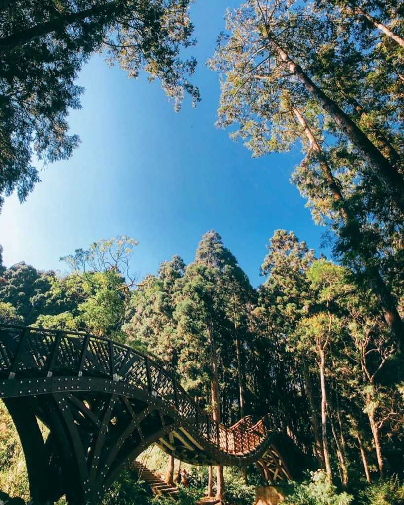 溪頭森林遊樂區 ❘ 銀杏橋,避暑景點,避暑勝地, 中部避暑景點, 北部避暑景點, 中部避暑, 北部避暑, 南部避暑, 南部避暑勝地, 北部避暑一日遊, 中部避暑勝地, 北部避暑勝地, 夏天避暑勝地, 中部避暑步道, 避暑好去處, 南部避暑景點, 中部避暑親子, 中部避暑秘境, 夏天避暑景點, 避暑勝地中部, 避暑景點中部, 中南部避暑勝地, 全台避暑景點, 東部避暑, 夏日避暑, 南部避暑秘境, 北部避暑步道, 暑假避暑勝地, 夏日避暑景點, 親子避暑景點, 避暑勝地北部, 避暑一日遊, 夏日避暑勝地, 避暑親子景點, 避暑勝地南部, 避暑景點北部, 夏天山上避暑, 北部夏天避暑, 山上避暑勝地, 山區避暑, 夏天避暑兩天一夜, 全台避暑勝地, 避暑北部, 避暑中部, 2023避暑景點, 北部山上避暑, 桃竹苗避暑勝地, 北部避暑秘境, 暑假避暑景點, 夏日涼爽景點, 南部避暑住宿, 夏季避暑勝地, 附近避暑景點, 夏日避暑旅游, 避暑景點南部, 桃竹苗避暑景點, 寵物避暑勝地, 中部景點避暑, 中部避暑一日遊, 親子避暑勝地, 避暑南部, 北部避暑景點親子, 夏天避暑中部, 高山避暑勝地, 北部高山避暑, 南部山上避暑, 避暑地點, 避暑去處, 避暑勝地住宿, 避暑三天兩夜, 避暑旅遊景點, 中部山上避暑, 夏天避暑北部, 北部山區避暑, 八月避暑, 推薦避暑勝地, 避暑景點推薦, 避暑勝地推薦, 中部山區避暑, 一日遊避暑, 北部避暑地方, 夏天避暑好去處, 山上避暑景點, 中部親子避暑, 7月避暑勝地, 夏日避暑好去處, 北部避暑親子, 北部親子避暑, 夏天渡假勝地, 三天兩夜避暑, 8月避暑勝地, 夏天避暑一日遊, 南部避暑一日遊, 夏日避暑一日遊,