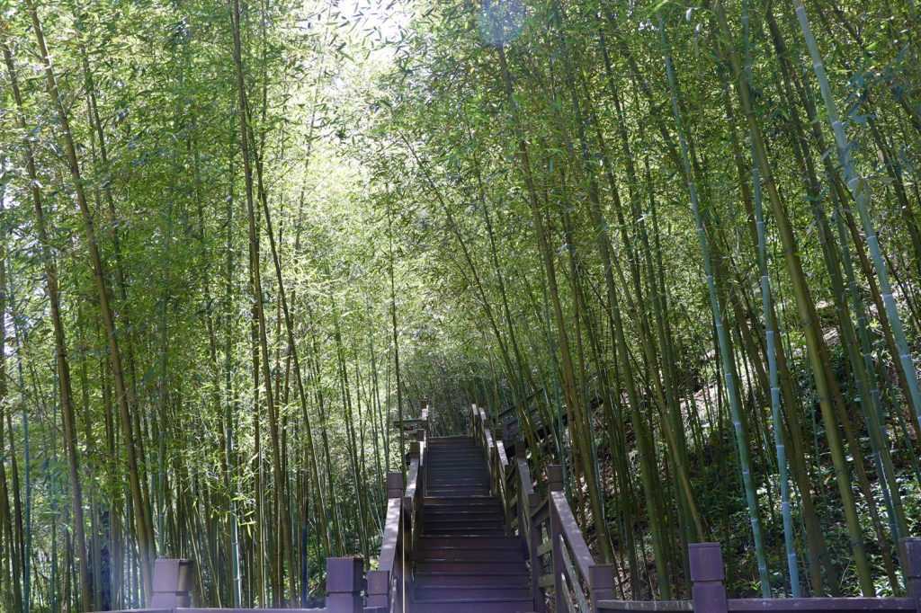 - 瑞龍瀑布園區 瑞龍瀑布園區 |南投竹山|瑞龍吊橋、瑞龍瀑布、交通、購票懶人包 2021 ▸南投景點, 景點, 竹山鎮 南投好食旅宿, 瑞龍吊橋, 瑞龍瀑布 2021