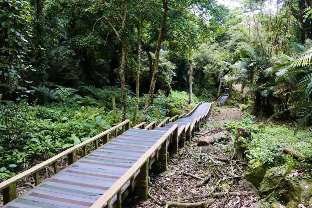 - 瑞龍瀑布園區 瑞龍瀑布園區 |南投竹山|瑞龍吊橋、瑞龍瀑布、交通、購票懶人包 2021 ▸南投景點, 景點, 竹山鎮 南投好食旅宿, 瑞龍吊橋, 瑞龍瀑布 2021