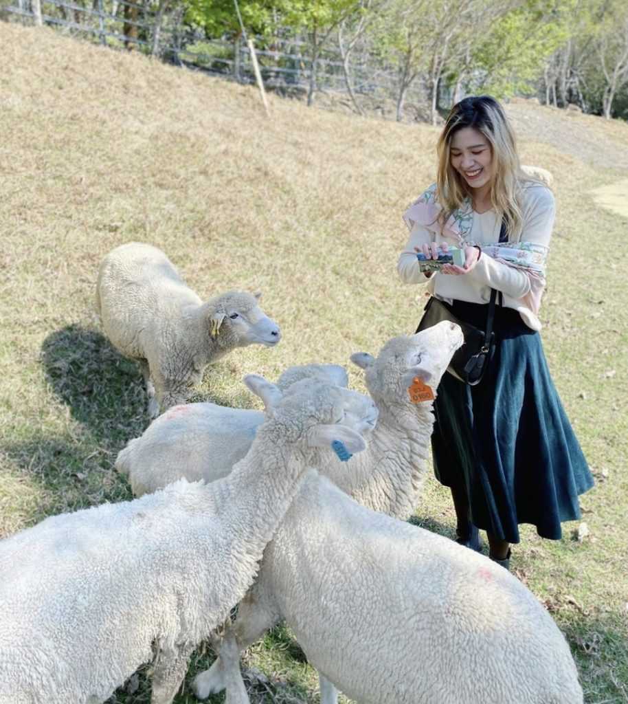清境農場綿羊秀 |歷久不衰的青青草原綿羊脫衣秀,與羊咩咩最親密的接觸! 2023 清境農場綿羊秀 |歷久不衰的青青草原綿羊脫衣秀,與羊咩咩最親密的接觸! 14 2023