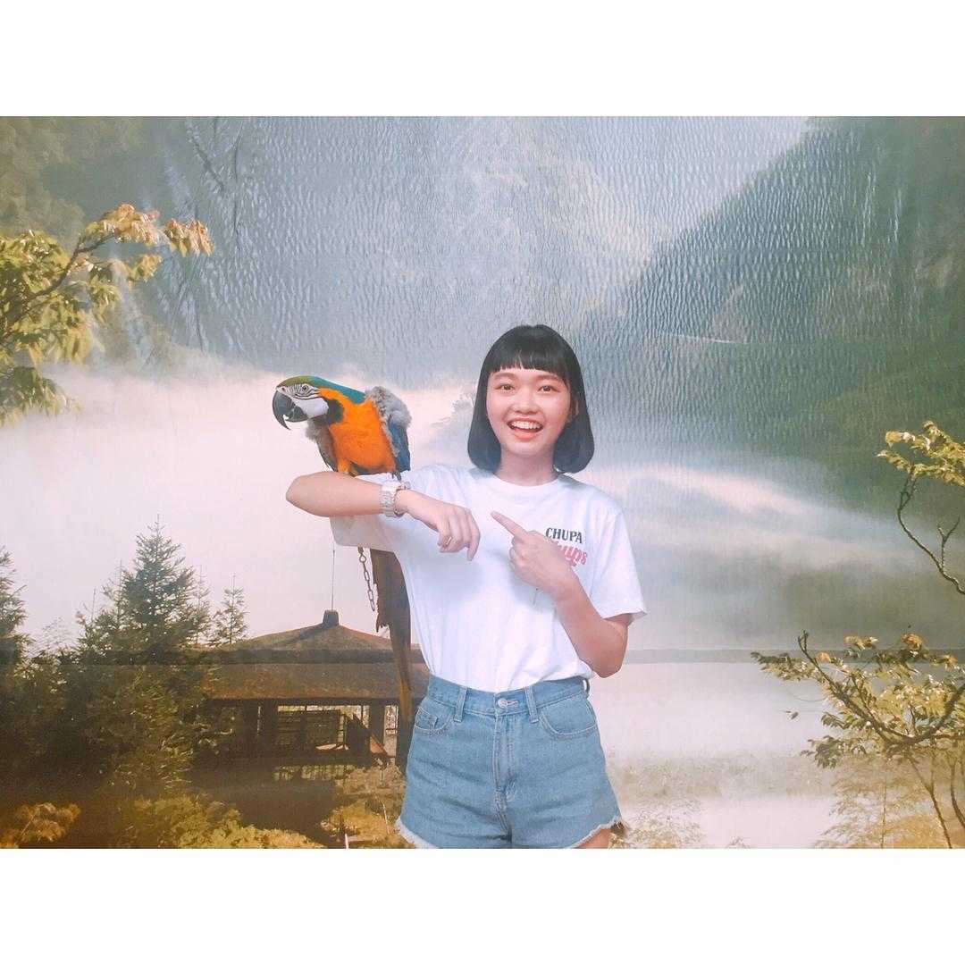 鳳凰谷鳥園生態園區 |金剛鸚鵡 鳳凰谷鳥園生態園區 |金剛鸚鵡
