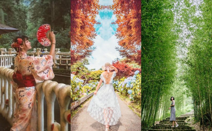 南投溪頭二日遊 山林慢活之旅 溪頭 杉林溪兩天一夜路線 親子同遊 情侶約會景點 好好玩台灣2021