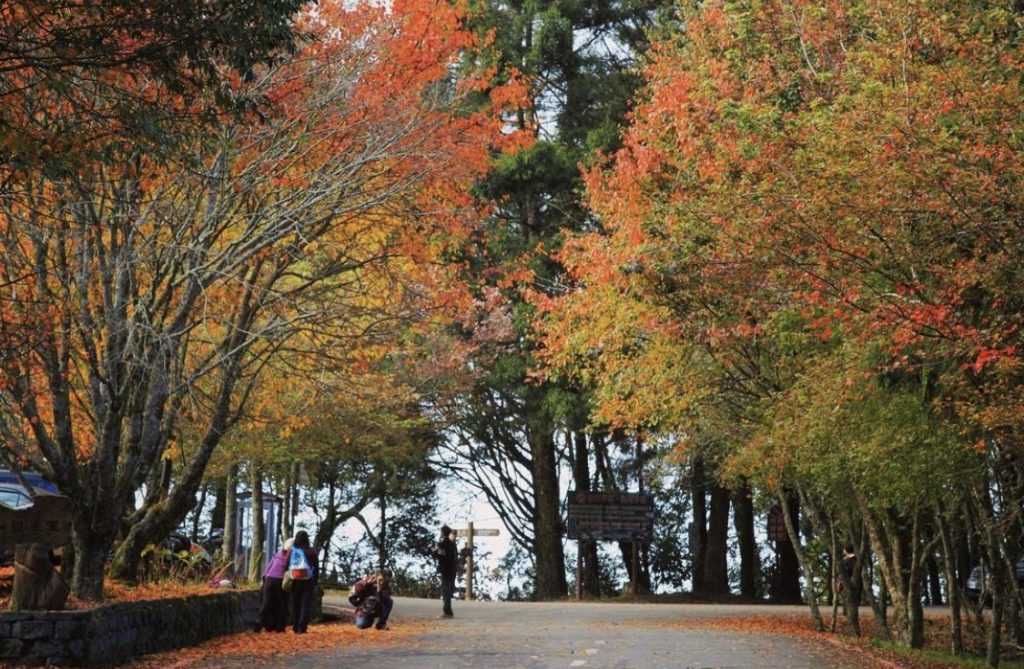 兒童節活動優惠｜清明連假親子旅遊景點、遊樂園、博物館優惠 28 2024