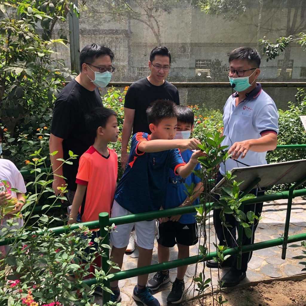 國慶煙火 埔里木生昆蟲博物館|蝴蝶小鎮生態休閒園區|園區導覽解說、世界珍藏標本、DIY體驗 國慶煙火 2023 國慶煙火 埔里木生昆蟲博物館|蝴蝶小鎮生態休閒園區|園區導覽解說、世界珍藏標本、DIY體驗 51 2023