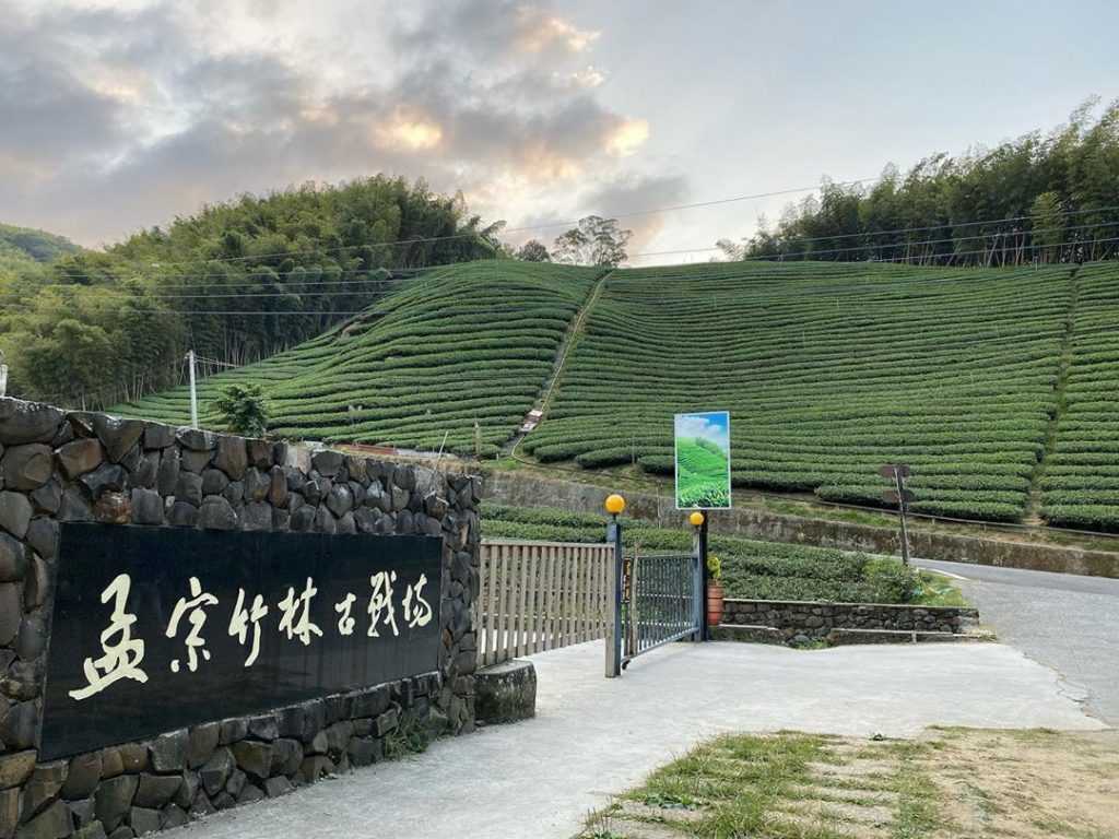 南投鹿谷小半天 -孟宗竹林古戰場 南投鹿谷小半天 -孟宗竹林古戰場